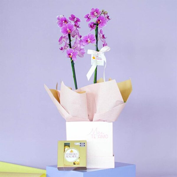 Caixa Especial Mãe Orquídea