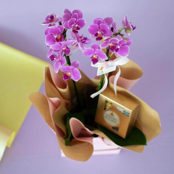 Caixa Especial Mãe Orquídea - Image 3