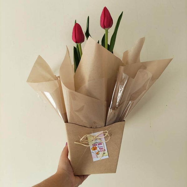Tulipa
