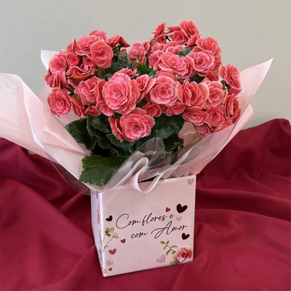 Flores em vaso