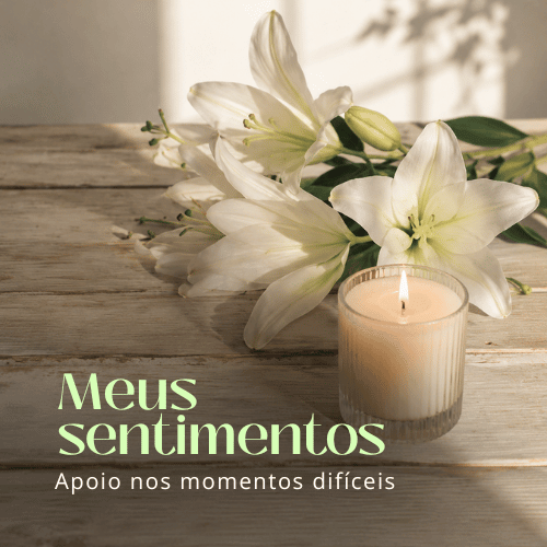 Meus Sentimentos
