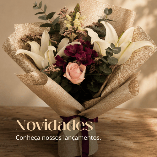 Novidades